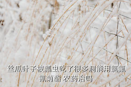 絲瓜可以打什么農藥,打絲瓜用什么武器
