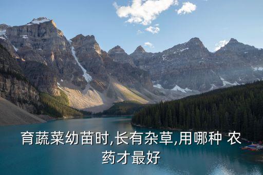 育蔬菜幼苗時,長有雜草,用哪種 農藥才最好