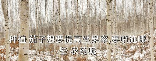 打茄子用什么農藥最好呢,茄子施什么肥長得最好