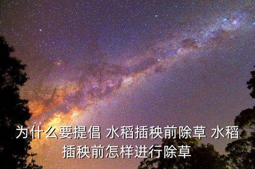 水稻噴農藥有什么好處,什么農藥對水稻傷害最大