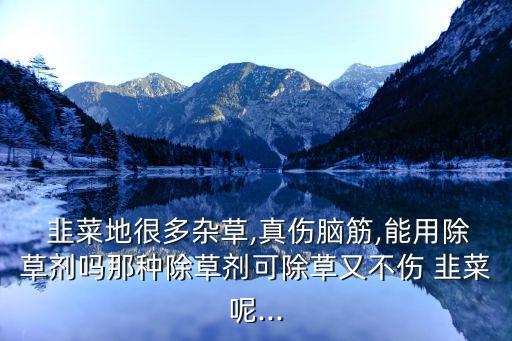  韭菜地很多雜草,真?zhèn)X筋,能用除草劑嗎那種除草劑可除草又不傷 韭菜呢...
