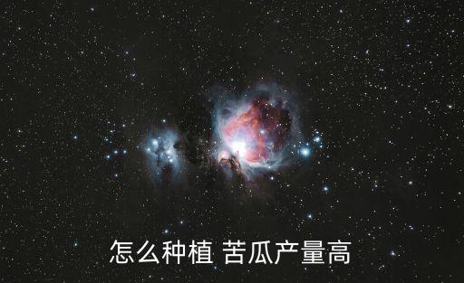 怎么種植 苦瓜產量高