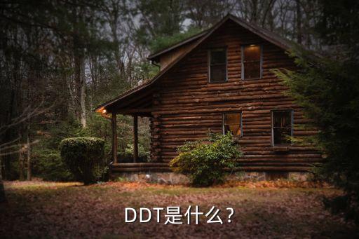 DDT是什么﹖