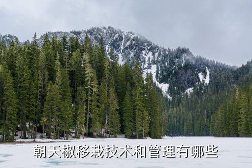 指天椒除蟲用什么農(nóng)藥,除蟲農(nóng)藥什么時間施好?