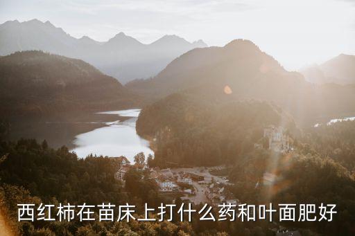 西紅柿在苗床上打什么藥和葉面肥好