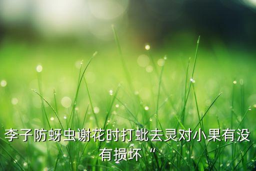 李子防蚜蟲謝花時打蚍去靈對小果有沒有損壞“