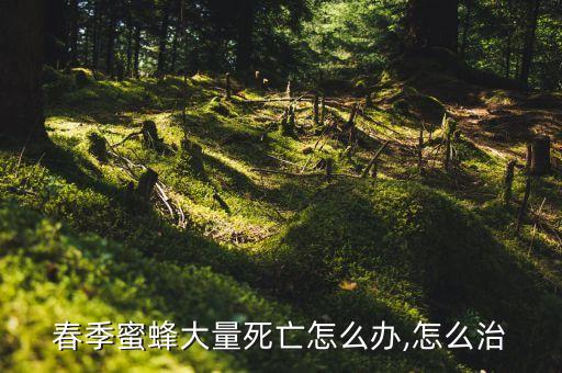 虎頭蜂殺什么農藥,用什么藥殺虎頭蜂最快