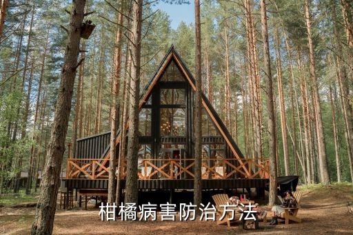 柑橘殺菌用什么農藥,八月柑橘打什么農藥