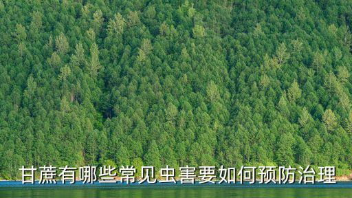 甘蔗有哪些常見蟲害要如何預防治理