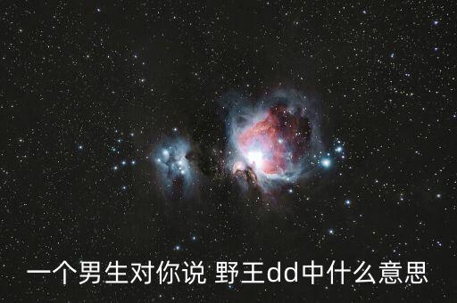一個(gè)男生對(duì)你說(shuō) 野王dd中什么意思