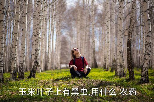 玉米棉蟲打什么農藥,玉米里面放什么東西不生蟲