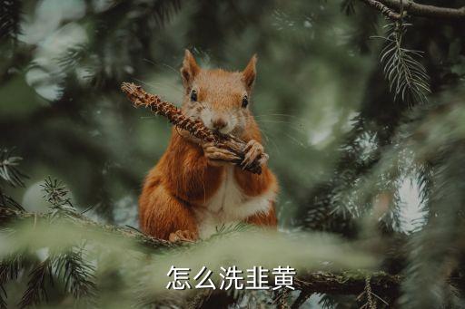 用什么水泡韭菜去農(nóng)藥,韭菜籽用什么水泡好