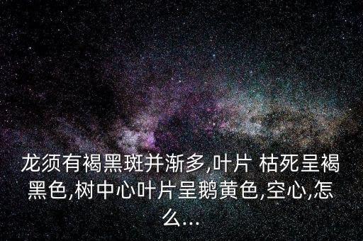 龍須有褐黑斑并漸多,葉片 枯死呈褐黑色,樹中心葉片呈鵝黃色,空心,怎么...
