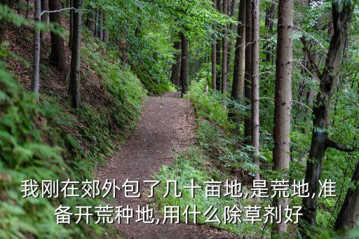 我剛在郊外包了幾十畝地,是荒地,準備開荒種地,用什么除草劑好