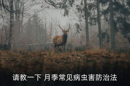 請教一下 月季常見病蟲害防治法