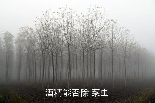 酒精能否除 菜蟲