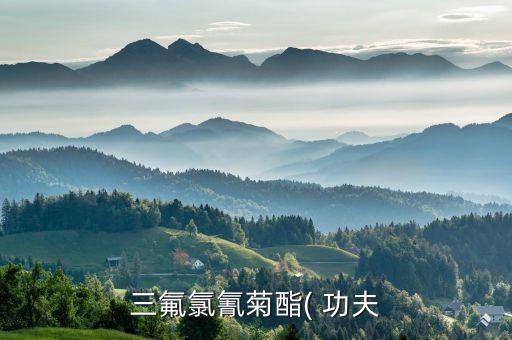 功夫農藥用于什么意思,農藥產品標準號什么意思