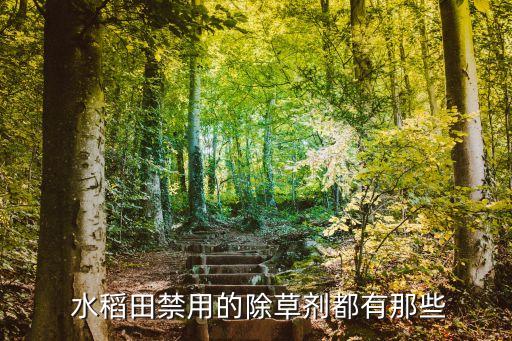 水稻芽播怕什么農藥,水稻最怕什么農藥不能生長