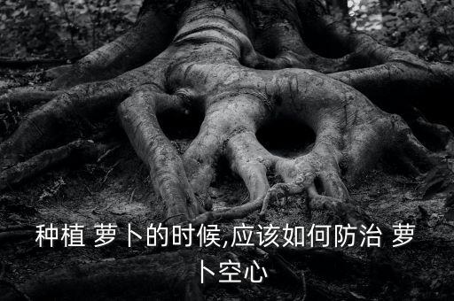 種植 蘿卜的時候,應該如何防治 蘿卜空心