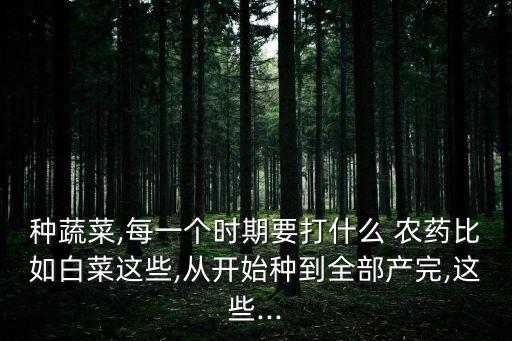 種蔬菜,每一個時期要打什么 農藥比如白菜這些,從開始種到全部產完,這些...