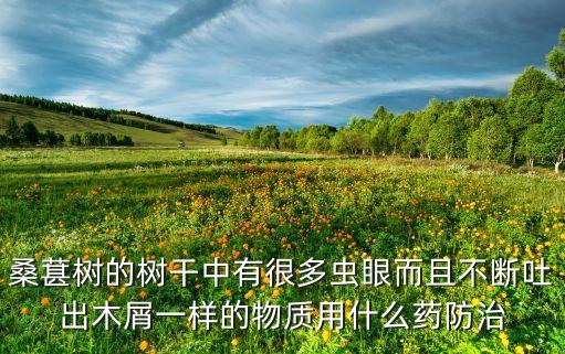 桑葚樹的樹干中有很多蟲眼而且不斷吐出木屑一樣的物質(zhì)用什么藥防治