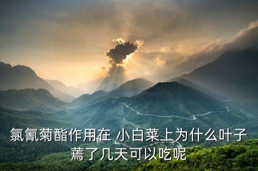 氯氰菊酯作用在 小白菜上為什么葉子蔫了幾天可以吃呢