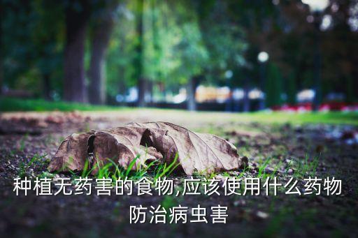 種植無藥害的食物,應(yīng)該使用什么藥物防治病蟲害