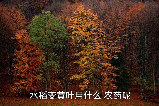  水稻變黃葉用什么 農藥呢