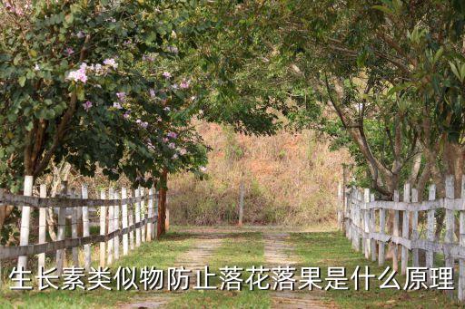 疏花的農(nóng)藥是什么,疏花點(diǎn)點(diǎn)是什么意思
