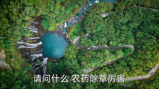 種什么農(nóng)藥最有效,種玉米打什么農(nóng)藥