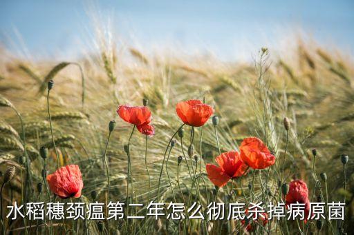 穗勁瘟用什么農(nóng)藥,農(nóng)藥碧穗防治什么病