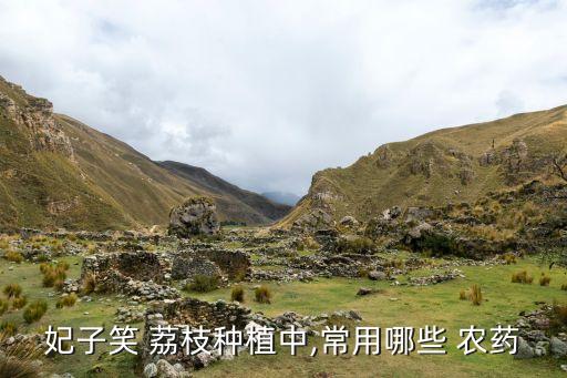 荔枝要什么農藥,荔枝管理和用農藥的技術表