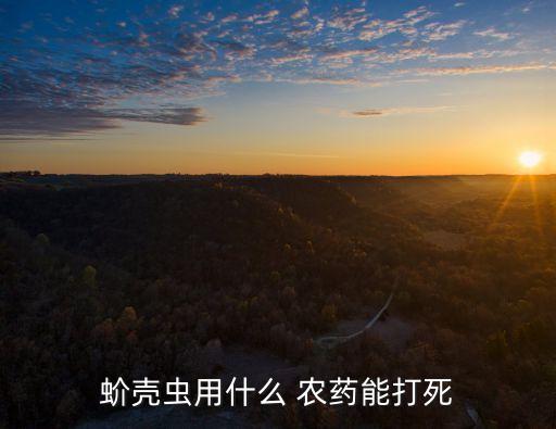 禾蟲打什么農藥好使呢,打地下蟲用什么農藥