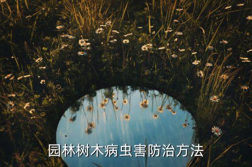 油松吉叮蟲用什么農藥
