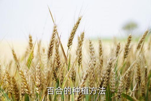百合用什么農(nóng)藥消毒,用什么農(nóng)藥給土壤消毒