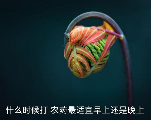 什么時候打 農藥最適宜早上還是晚上