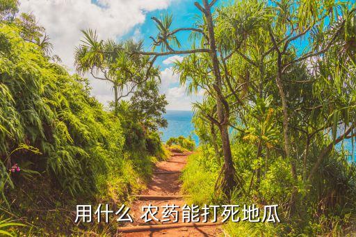 紅薯一般用什么農(nóng)藥打假,紅薯要噴什么農(nóng)藥呢