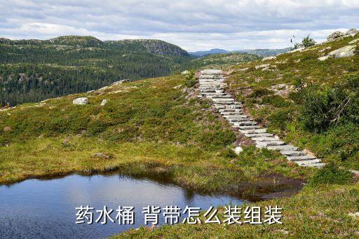 打農藥的背帶叫什么牌子,農村打農藥的叫什么