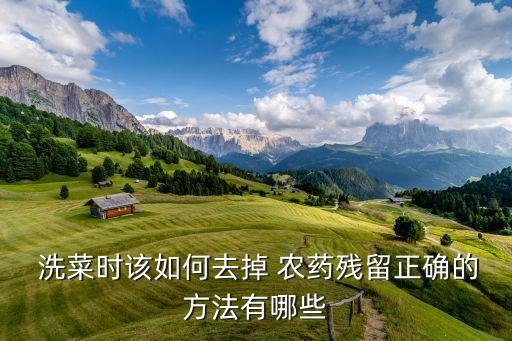  洗菜時該如何去掉 農藥殘留正確的方法有哪些