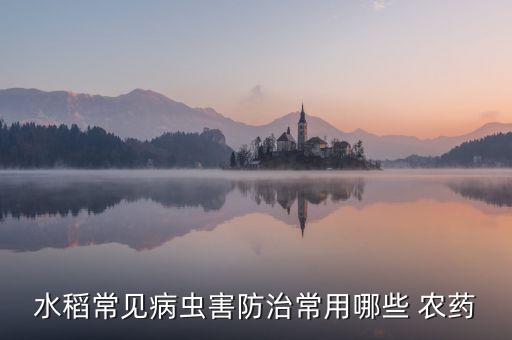 水稻常見病蟲害防治常用哪些 農藥