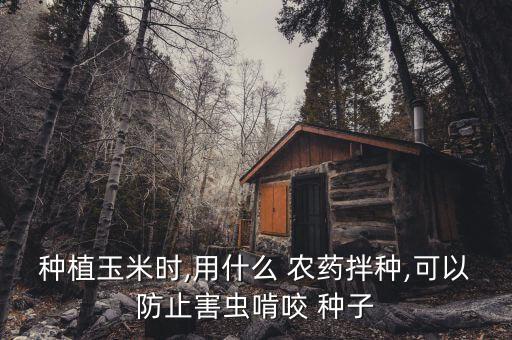 種植玉米時,用什么 農藥拌種,可以防止害蟲啃咬 種子