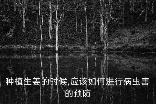 種姜主要用什么農藥,種玉米打什么農藥