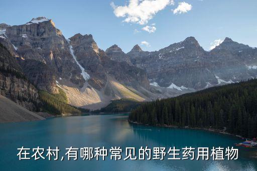 味道甘甜的農藥是什么草藥