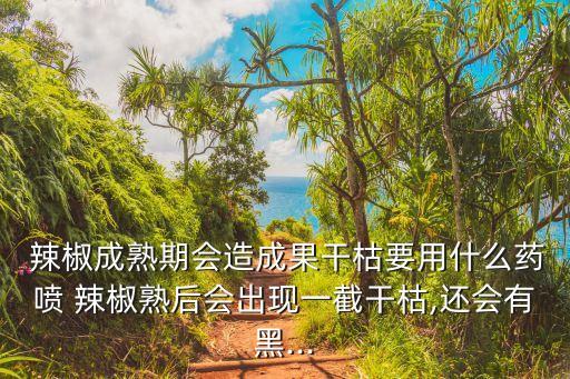  辣椒成熟期會造成果干枯要用什么藥噴 辣椒熟后會出現(xiàn)一截干枯,還會有黑...