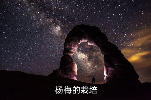 楊梅種植都用什么農藥,楊梅每畝種植多少棵