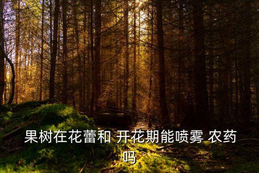  果樹在花蕾和 開花期能噴霧 農(nóng)藥嗎