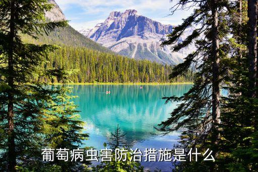 葡萄病蟲害防治措施是什么