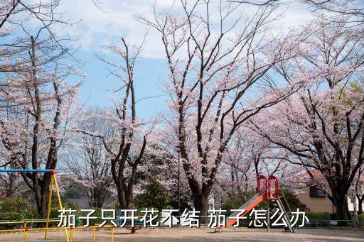  茄子只開花不結 茄子怎么辦