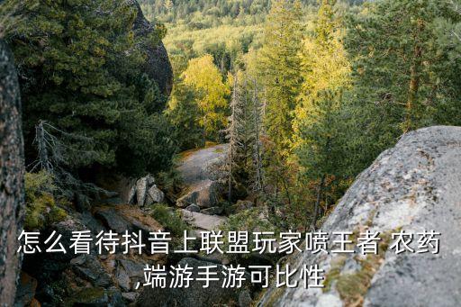 怎么看待抖音上聯盟玩家噴王者 農藥,端游手游可比性