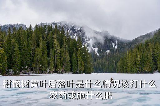 柑橘樹黃葉后落葉是什么情況該打什么 農藥或施什么肥